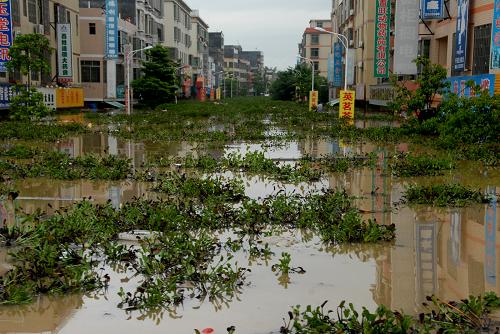 广东英德遭遇洪水袭击 数万人受灾