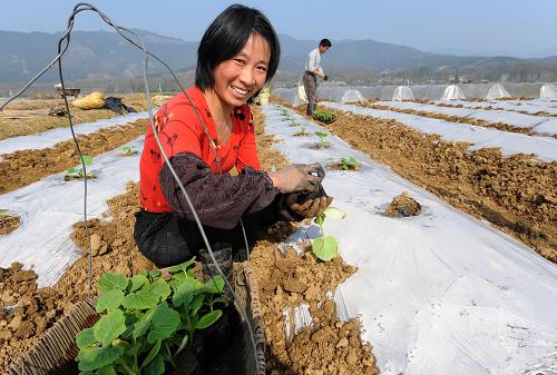 基层村的人口_人口普查(3)