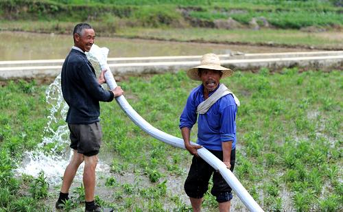 5月25日,湖北宣恩县沙道沟镇松坪村村民拉着水管往旱地里浇水.图片