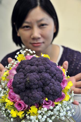 台湾农业机构培育出新品紫色花椰菜
