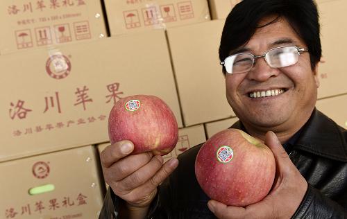 陕西洛川:二维码助增苹果销售