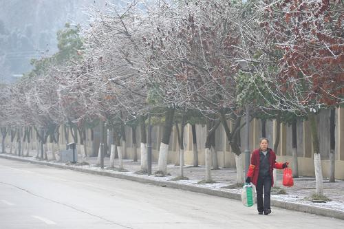 贵州持续低温雨雪天气