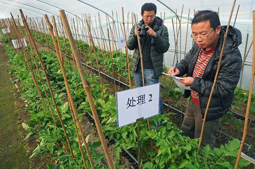 2013年浙江农民人均纯收入超过16000元