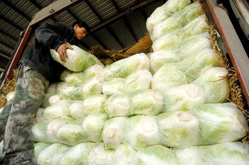 11月上旬36个城市18种蔬菜平均批发价格同比