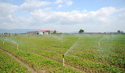 江西安义打造节水喷灌农业