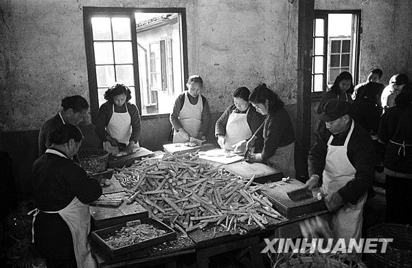 朝鲜人口贩卖的女性_1950年朝鲜人口