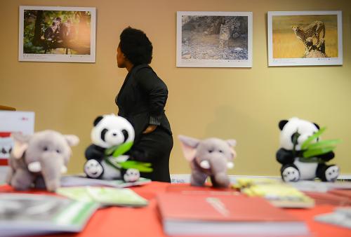 这是2015年11月17日，一名女士在南非比勒陀利亚举行的“中国——南非青年志愿者自然保护论坛”上欣赏中国摄影师拍摄的野生动物照片。新华社记者 翟健岚 摄