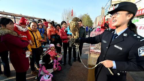 12月4日，新疆生产建设兵团第一师森林公安局民警介绍收缴来的雀鹰，向市民宣传动物保护相关法律。