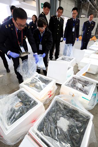12月10日，昆明机场检验检疫局的工作人员在进境食用水生动物指定口岸大厅抽检刚入境的泰国草虾。新华社记者 李明放 摄