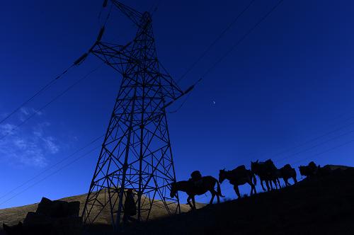 果洛藏族自治州玛沁县拉加镇境内，电力施工人员利用骡马运送材料（11月19日摄）。新华社记者 张宏祥 摄