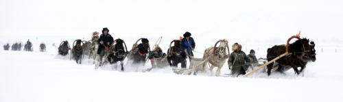 1月1日，哈萨克族同胞在新疆富蕴县冰雪风情游活动上参加马拉爬犁耐力比赛。当日是2016年元旦，全国各地民众用丰富多彩的活动喜迎新年的到来。新华社发（丁宁 摄）