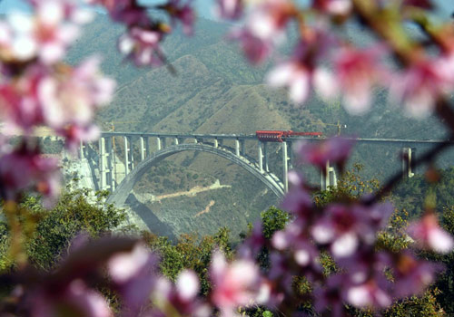 远眺主体完工的云桂铁路南盘江特大桥（1月16日摄）。