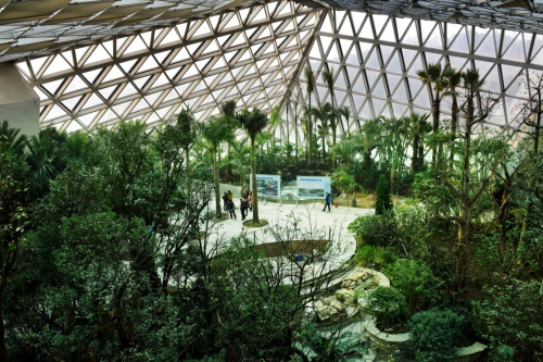 唐山世园会热带植物馆一角（1月20日摄）。新华社记者 牟宇 摄