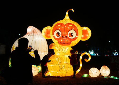 2月12日，游客在造型各异的灯组前合影。新华社记者 陈诚 摄