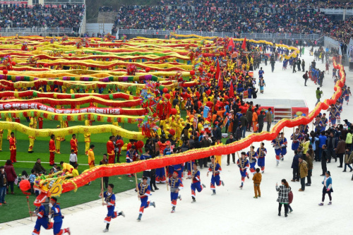 2月18日，在贵州省石阡县体育场，近百条毛龙集结准备表演。新华社发（王远平 摄）
