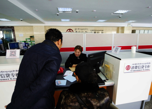 2月19日，顾客在中国银行西藏分行办理贷款业务。记者从中国人民银行拉萨中心支行获悉，西藏金融机构本外币各项贷款余额已由2010年末的301.8亿元增至2015年末的2130.9亿元，5年间增长逾6倍。数据显示，西藏中小微企业贷款余额由2010年末的98．97亿元增至2015年末的777．62亿元，占总贷款比例升至36.6%。新华社记者 晋美多吉 摄