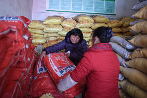 2月25日，当地农民在松桃县内的化肥商店内选购化肥。新华社记者 刘续 摄