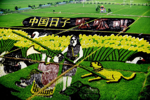 在沈陽沈北新區錫伯龍地農業產業園拍攝的稻田畫《中國日子 呱呱叫》（2015年7月1日攝）。推進結構性改革——就在幾天前，在上海舉行的二十國集團財長和央行行長會議上，我國推動的這一倡議得到Ｇ20國家廣泛支持。處在發展關鍵節點的中國，不僅迎來深刻轉型的大時代，也深度影響世界。明確方位才能找準方向，謀定后動才能贏得未來。踏著春天的腳步，2016年全國兩會必將凝聚共識、智慧和力量，開啟全面小康新征程。新華社記者 楊青 攝