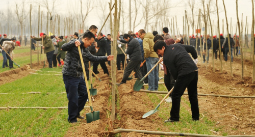 3月12日，市民在沧州市运河区参加植树活动。新华社记者 牟宇 摄