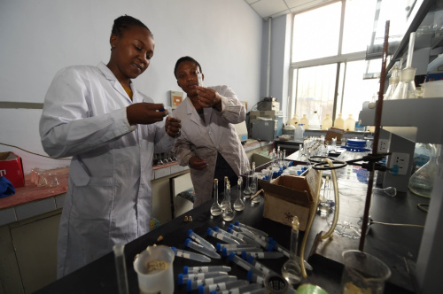 3月27日，吉林农业大学资源与环境学院的南非留学生在做实验。新华社记者 张楠 摄