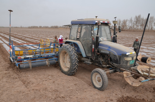 3月27日，在新疆生产建设兵团第一师二团棉田里，一台拖拉机在播种棉花。新华社发（陈健生 摄）