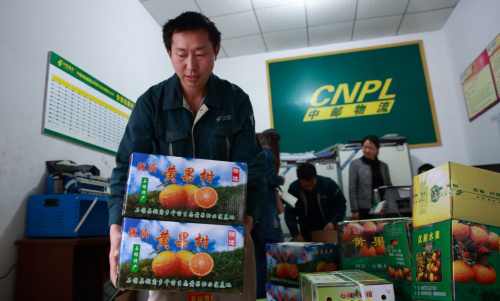 3月27日，石棉县邮政局工作人员在发送果农的黄果柑邮政包裹。新华社记者 江宏景 摄