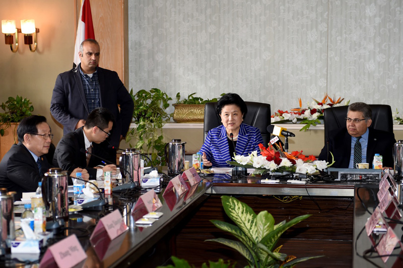 3月28日，在埃及首都开罗，中国国务院副总理刘延东（右二）与“杰出青年科学家来华工作计划”埃及获资助的青年科研人员代表座谈。
