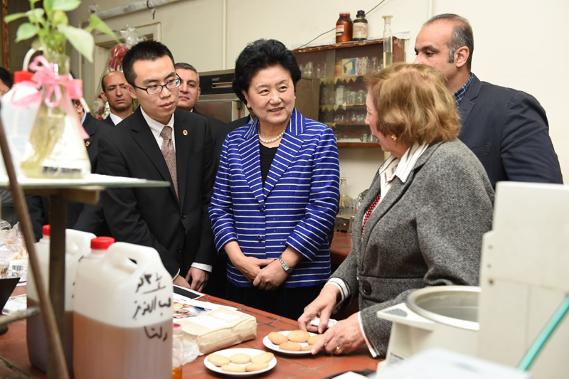 3月28日，在埃及首都开罗，中国国务院副总理刘延东（中）参观埃及国家研究中心药用植物实验室。