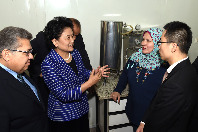 3月28日，在埃及首都开罗，中国国务院副总理刘延东（左二）参观埃及国家研究中心生物技术工程实验室。