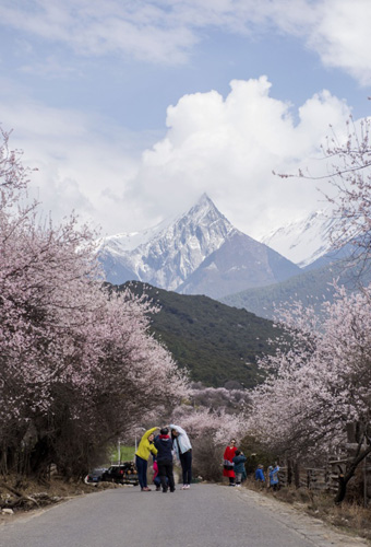 游客在西藏波密县境内的路上和桃花美景合影（4月1日摄）。