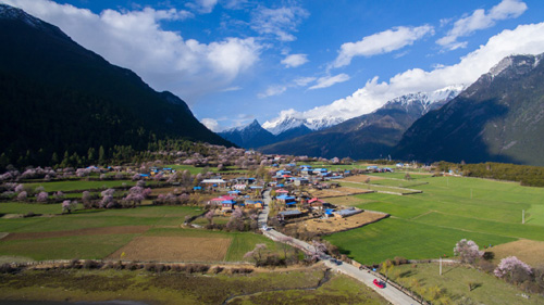 这是4月1日在西藏波密县境内拍摄的美景。