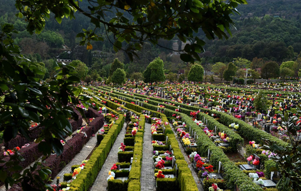 4月3日，市民在昆明市金宝山公墓用鲜花和绢花祭奠亲人。新华社记者 蔺以光 摄