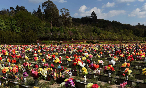 金宝山公墓的墓地上满是祭奠亲人的鲜花和绢花（4月3日摄）。清明时节，云南昆明市民纷纷来到市郊的各大公墓祭扫。如今很多人采用敬献鲜花和绢花等方式代替焚香、点烛和烧纸钱等传统形式祭奠先人，寄托哀思。环保、文明、绿色的祭祀形式渐成风尚。新华社记者 蔺以光 摄