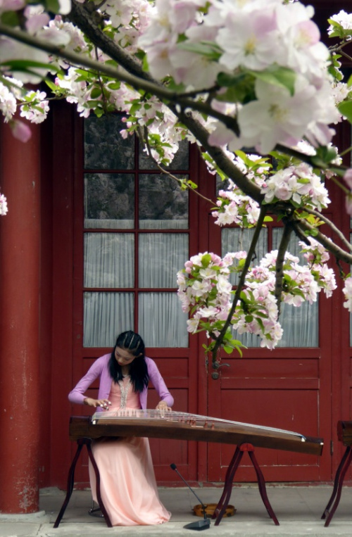 4月6日，一名演员在宋庆龄故居为游人演奏古筝。新华社记者 李明放 摄