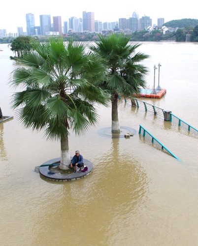 4月11日，市民在柳江边被洪水淹没的平台上垂钓。