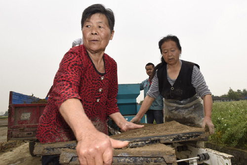 4月13日，和兴镇国防村的农民在使用育秧盘培育水稻种子。
