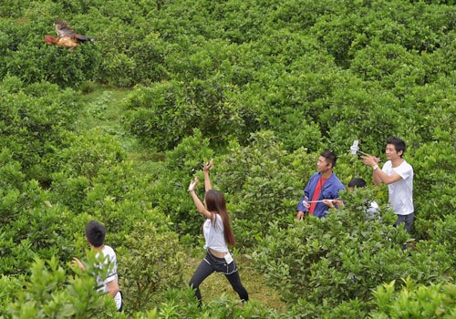 365bet体育在线平台