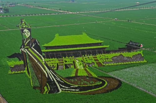 这是6月28日在锡伯龙地创意农业产业园拍摄的稻田画《芈月》。新华社记者 杨青 摄