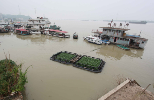 这是8月6日在九江市湖口县客运码头拍摄的水位下降后的鄱阳湖湖面。发（张俊 摄）
