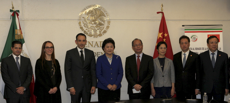 8月8日，中国国务院副总理刘延东（左四）在墨西哥首都墨西哥城的参议院会见墨西哥参议长希尔（左三）。新华社发（卡洛斯·拉米雷斯 摄）