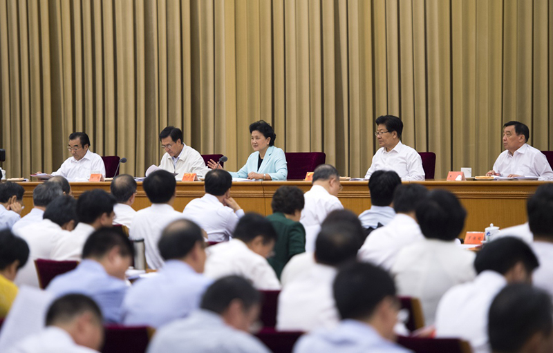 8月19日至20日，全国卫生与健康大会在北京召开。中共中央政治局委员、国务院副总理刘延东在会上总结讲话。