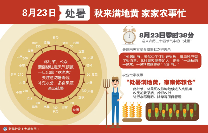 图表:8月23日处暑:秋来满地黄 家家农事忙