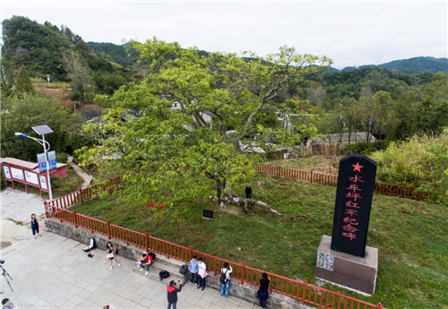 重庆市黔江区水市乡水车坪的“红军树”和红军纪念碑