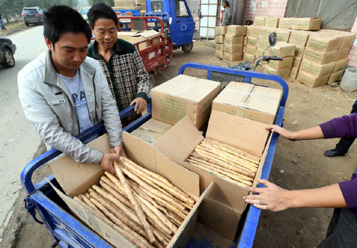 10月16日，外地客商在安平县辛店村选购白山药。