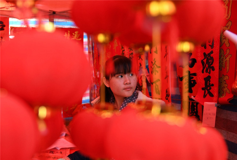 1月23日，一名女青年在广西钦州市鸿发年货市场选购灯笼。