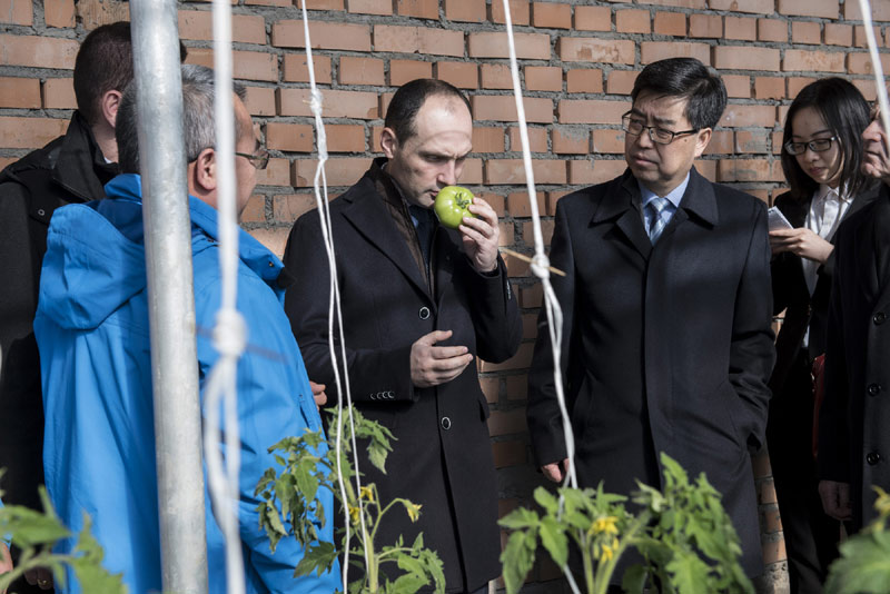 目前，中国援助格鲁吉亚蔬菜大棚种植第一期技术合作项目正在加紧建设中。据悉，该项目是在中国—格鲁吉亚两国政府经济技术合作框架下，由我国湖南省农业集团有限公司承办的我国在格鲁吉亚的第一个农业援助项目。该项目2015年4月开始实施，为期两年半。
