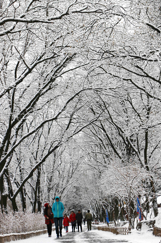当日，河北承德迎来立春后首场降雪，避暑山庄被白雪覆盖，美如画卷。