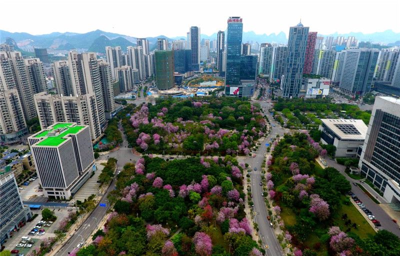广西GDP超3000亿城市_2020广西各市gdp(2)