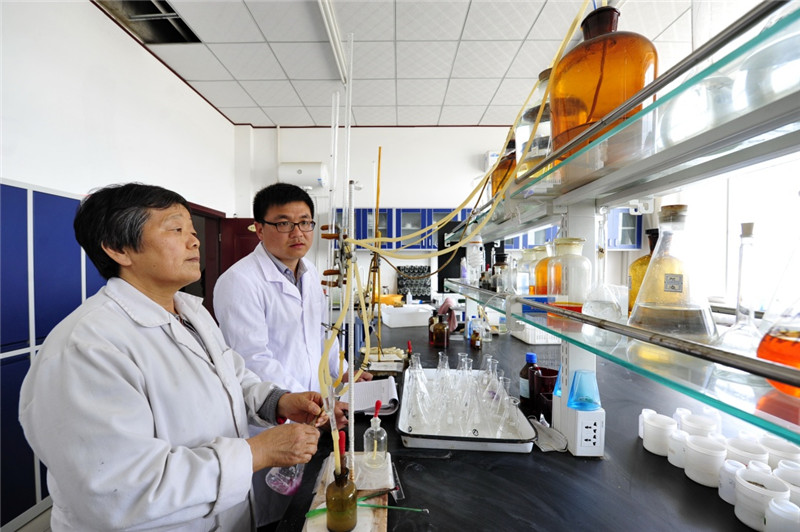 南皮县人口_南皮县发展图片(2)