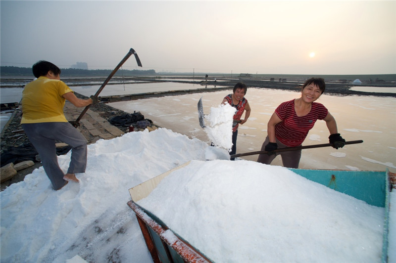8月6日，山腰盐场的盐工在装运刚收获的海盐。